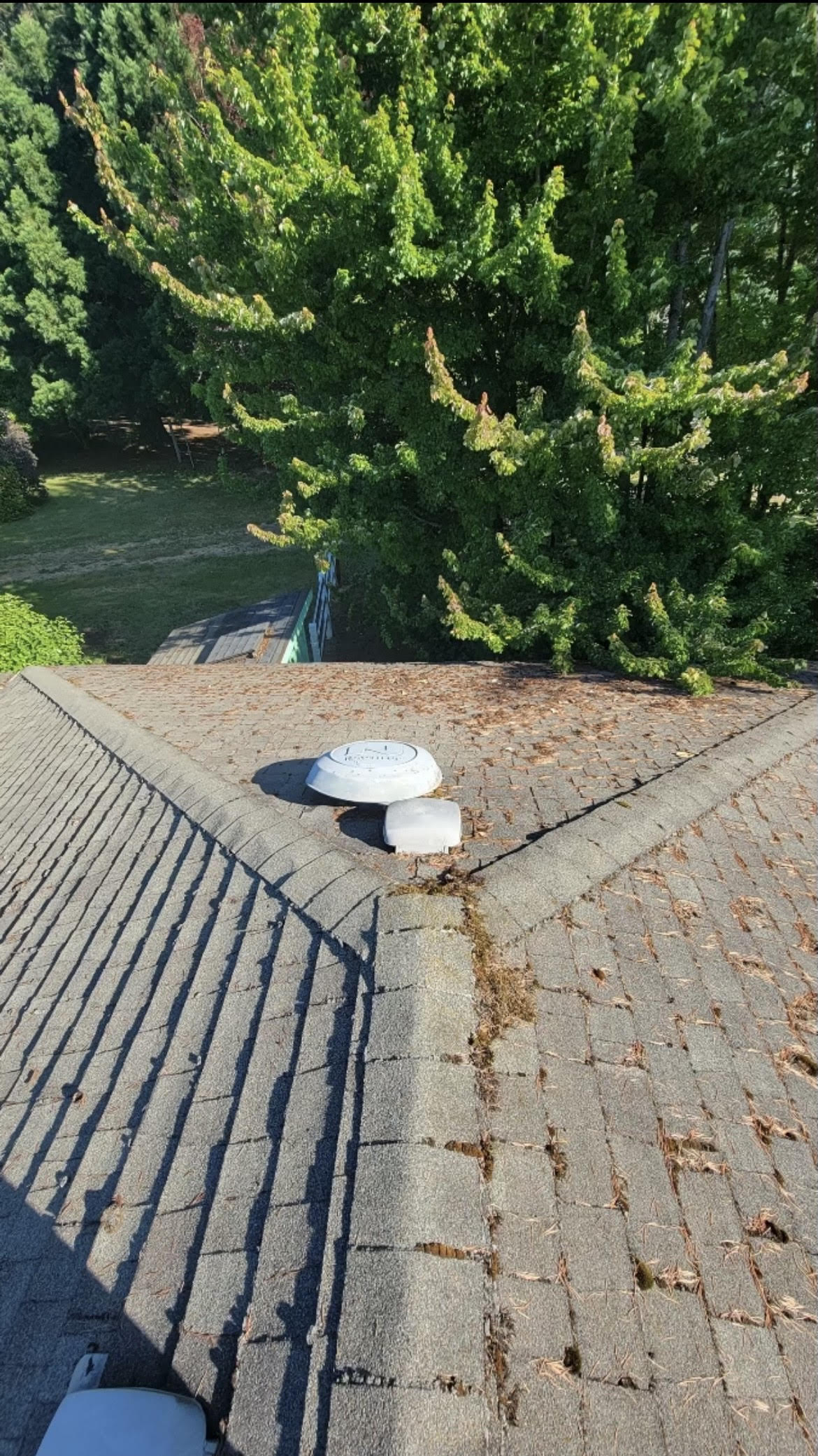brown roof with chimney