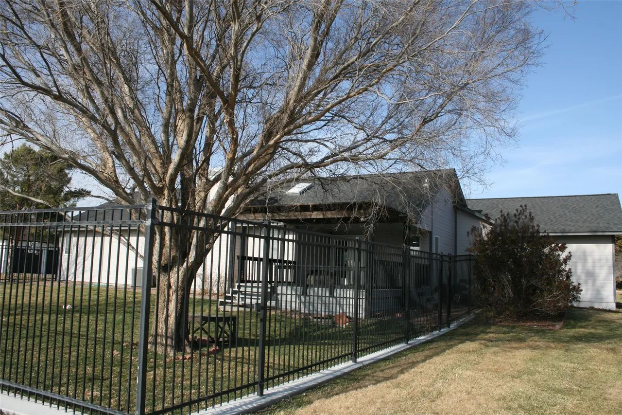 A large, bare tree stands behind a black metal fence in front of a house on a sunny day.