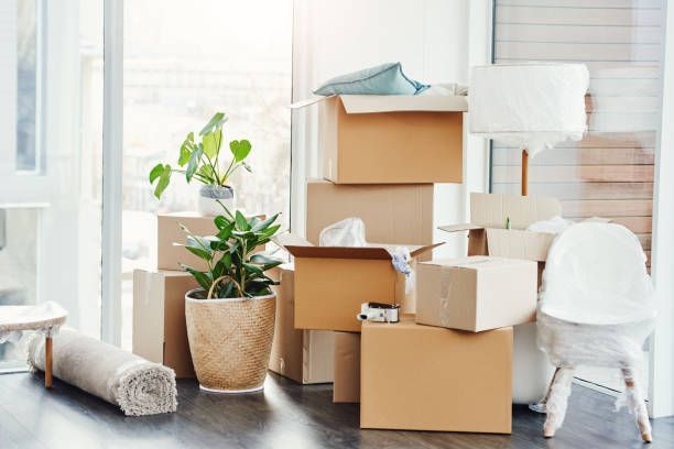 A room filled with moving boxes and furniture being rearranged for relocation.