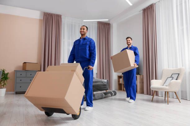 Two men in blue uniforms carrying boxes in a room, providing long-distance moving services.
