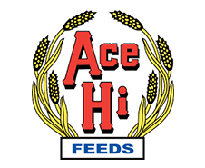 Ace Hi Feeds