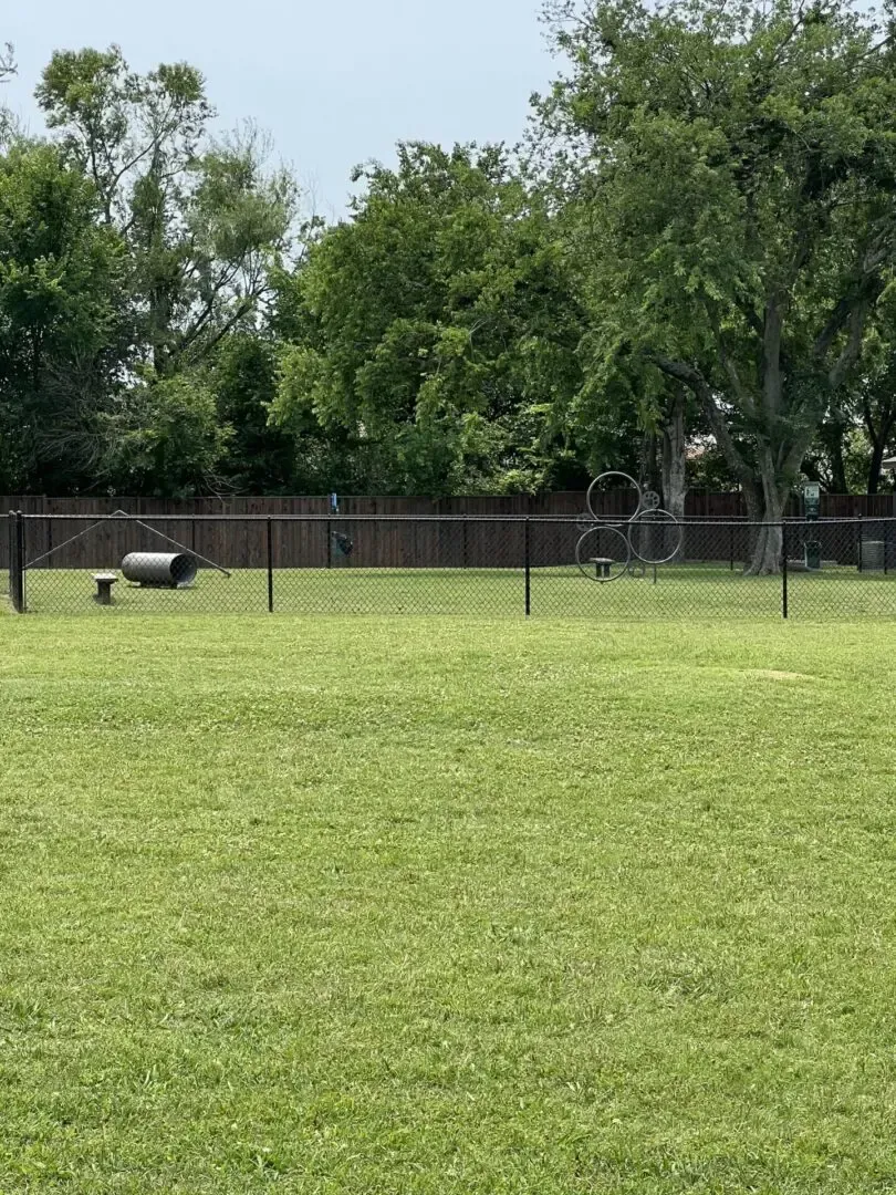 Dog park with green grass, black fence, and trees.