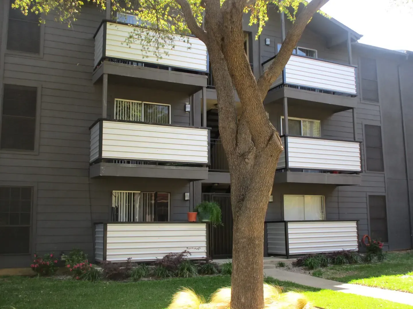 Grey apartment building with white balconies, a tree in front.