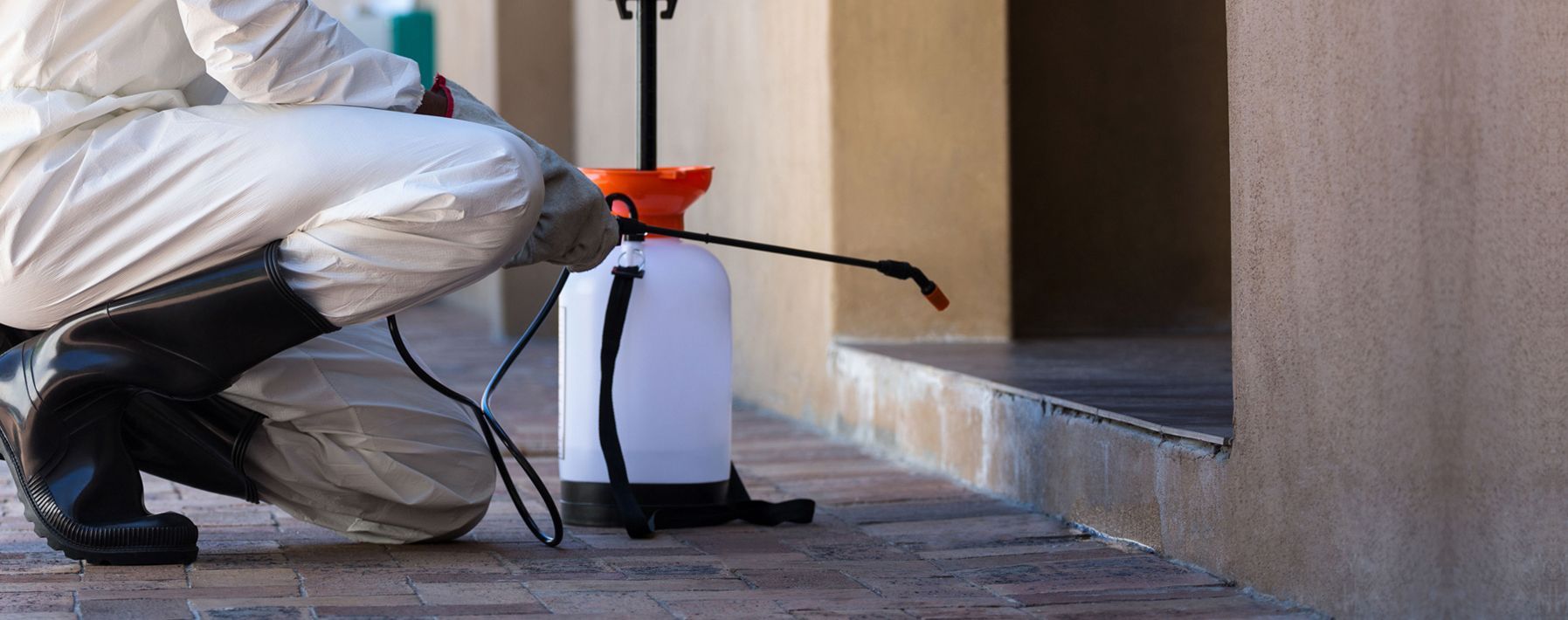 Termite Inspections Lange Pest Control New Braunfels TX