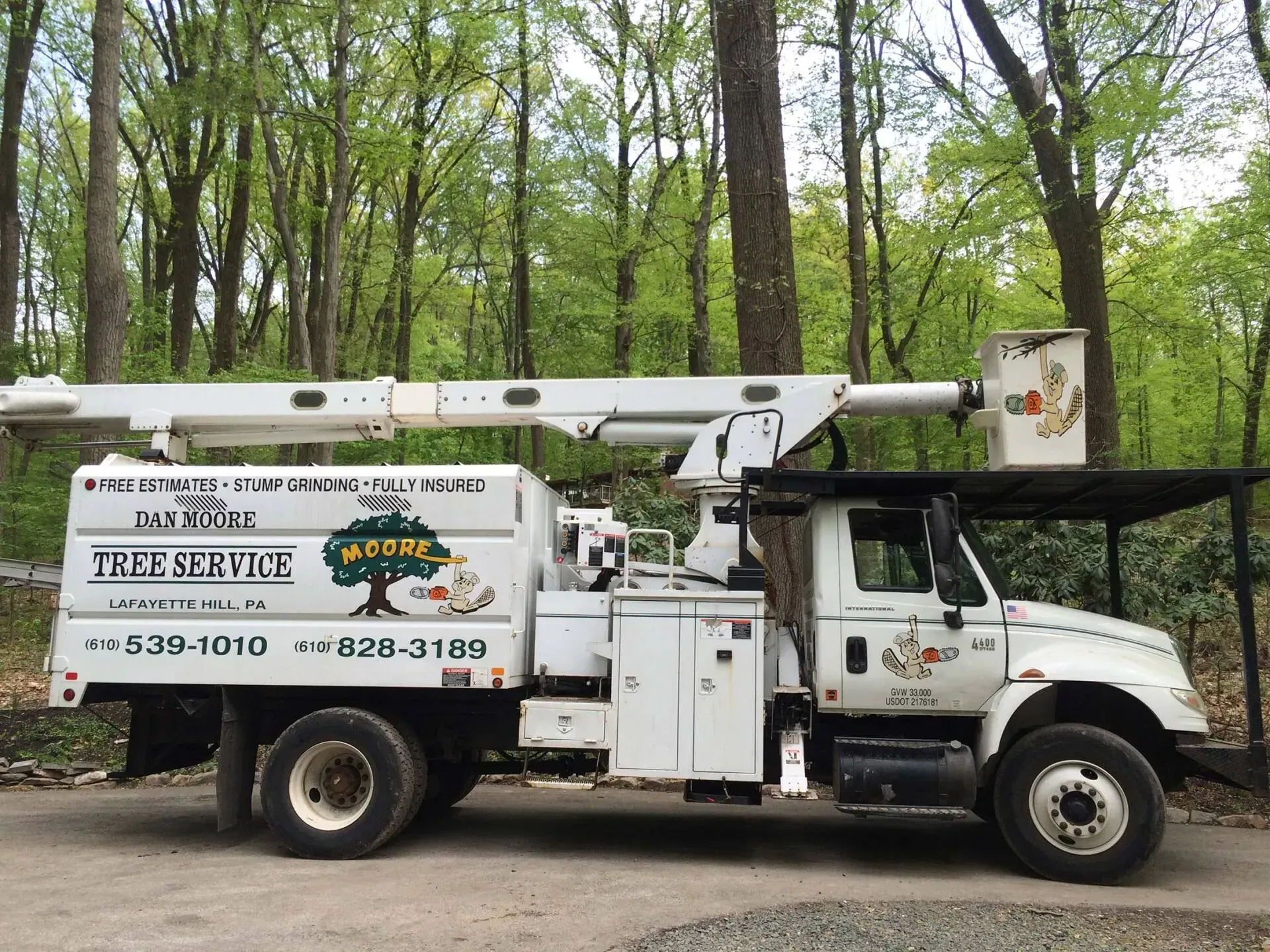 A tree service truck is parked in front of a forest
