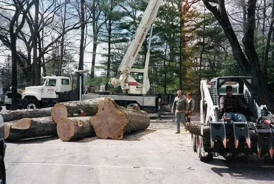 A group of people are standing in front of a large pile of logs.