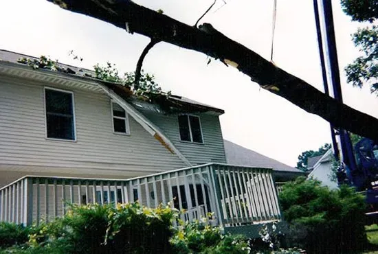 A house with a fallen tree branch on the roof