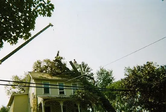 A house with a tree fallen on the roof