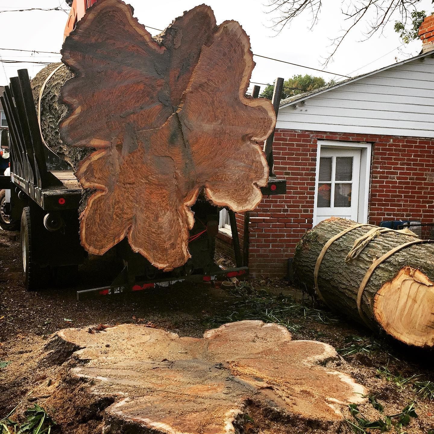 Stump Removal