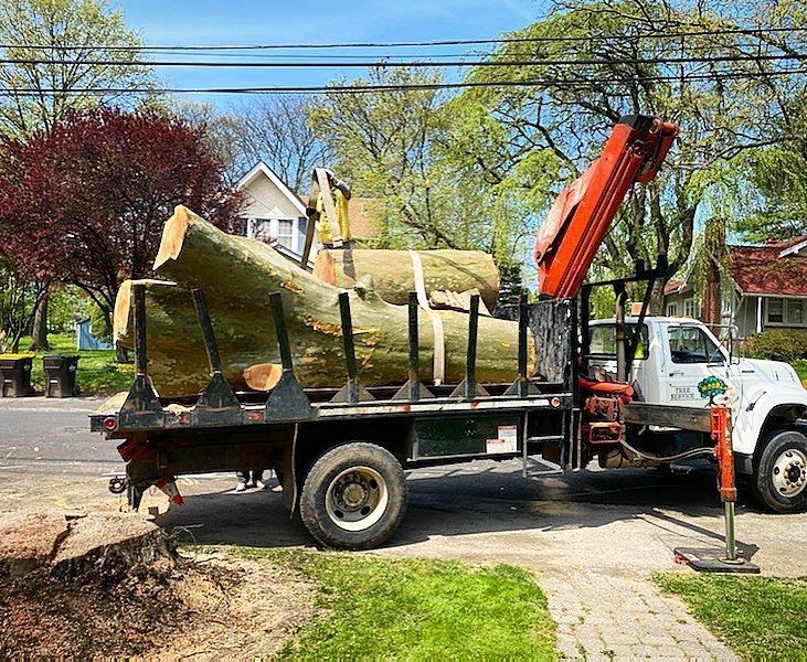 Truck carrying tree logs