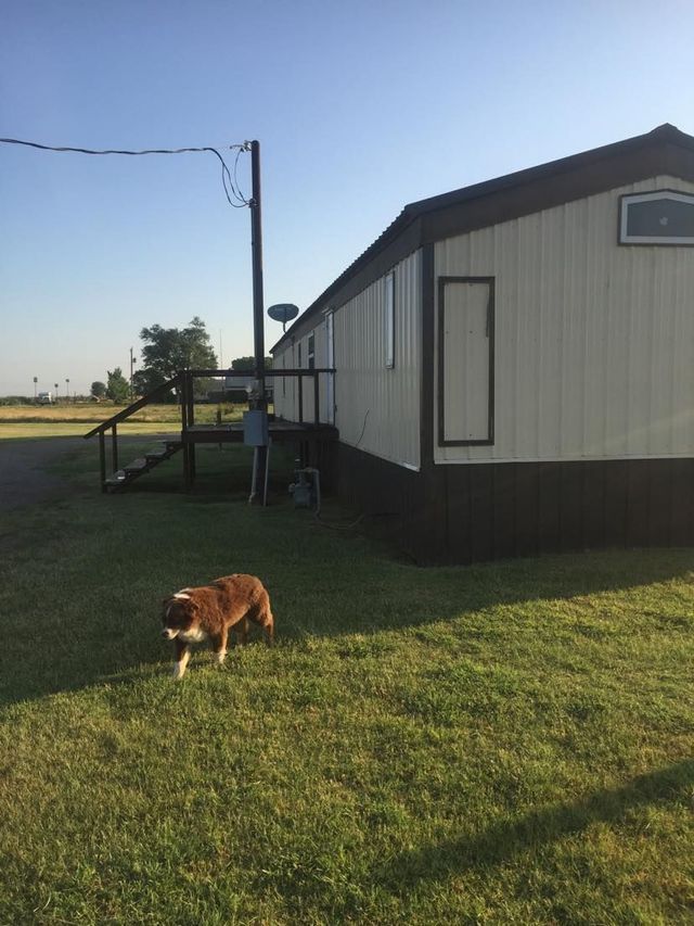 A dog is standing in front of a mobile home.