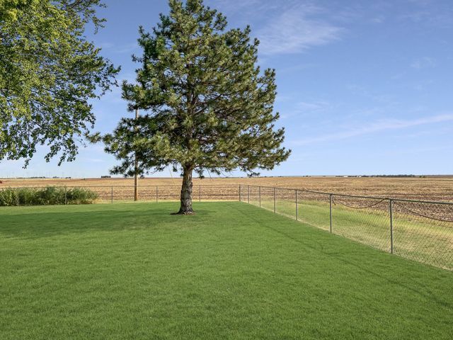 A fenced in yard with a tree in the middle of it