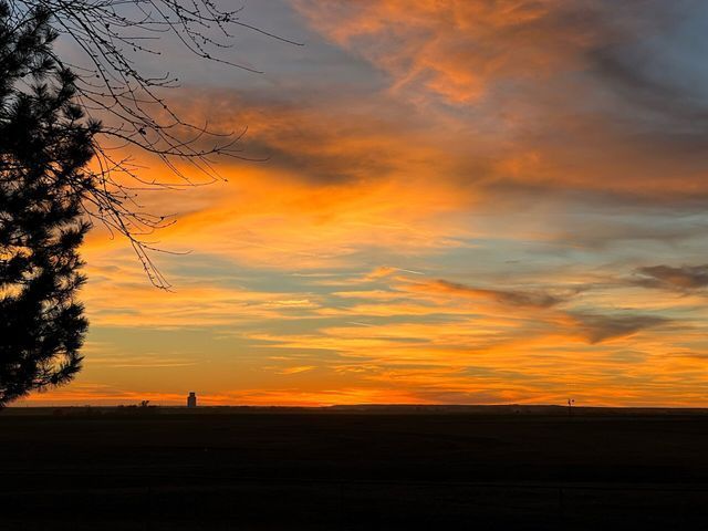 A sunset over a field with a tree in the foreground