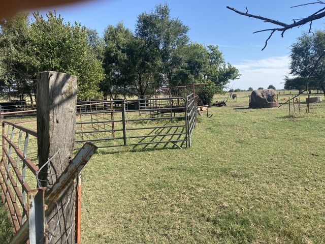 A fence in a grassy field with trees in the background