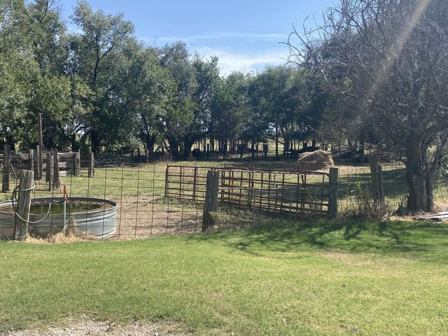 A large grassy field with a fence and trees in the background.