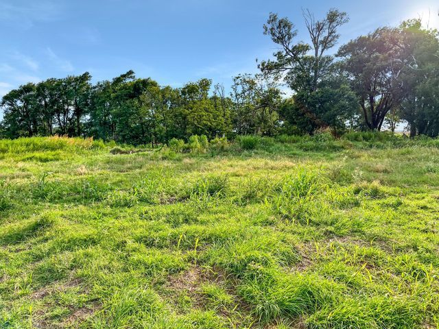 A lush green field with trees in the background and the sun shining through the trees.