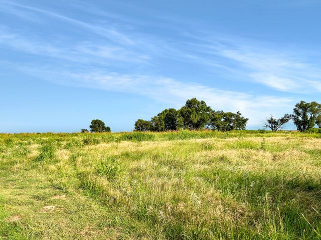 A grassy field with trees in the background and a blue sky.