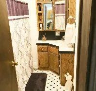 A bathroom with a sink , mirror and shower curtain.