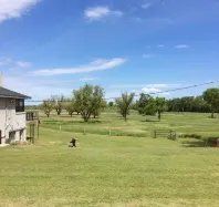 A large grassy field with a house in the background and trees in the background.