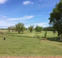A large grassy field with trees and a fence in the background on a sunny day.