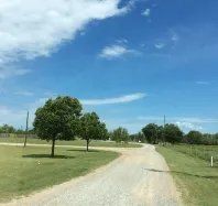 A dirt road going through a grassy field with trees on both sides.