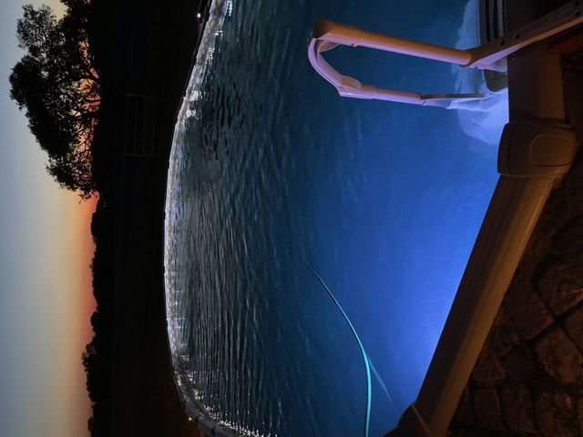 A swimming pool is lit up at night with a tree in the background