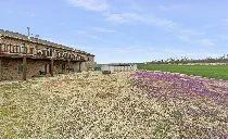 A large building is sitting in the middle of a field of flowers.