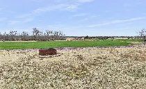 A field with a tractor in the middle of it.