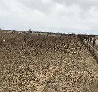A dirt field with a wooden fence in the background.