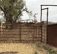 There is a fence in the middle of a field with a tree in the background.