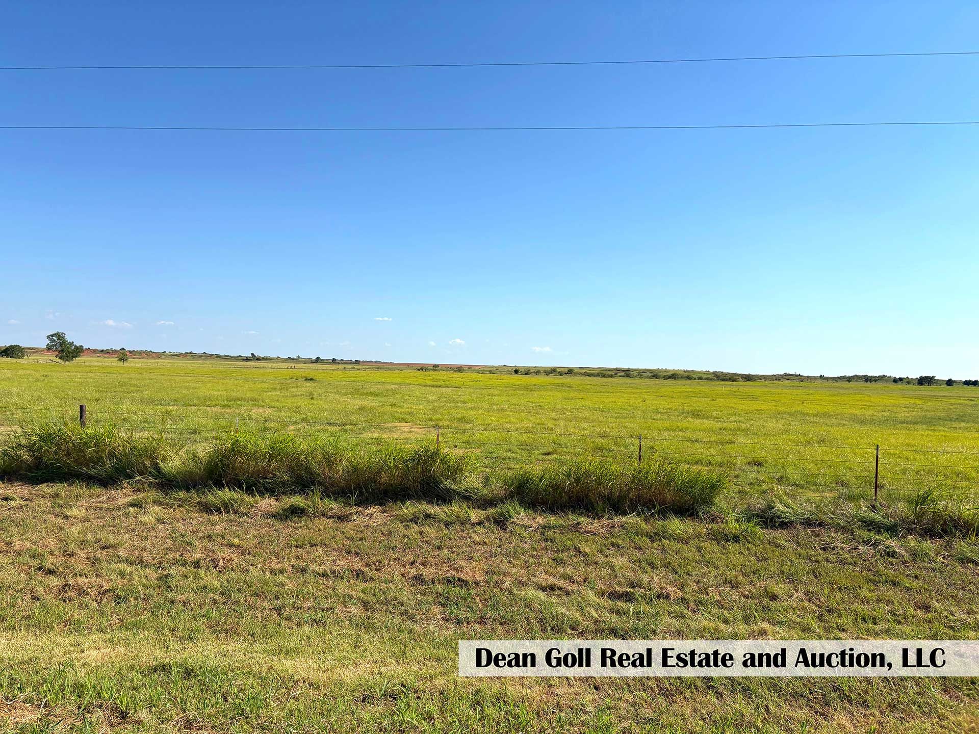 open field of green vegetation under a bright blue sky