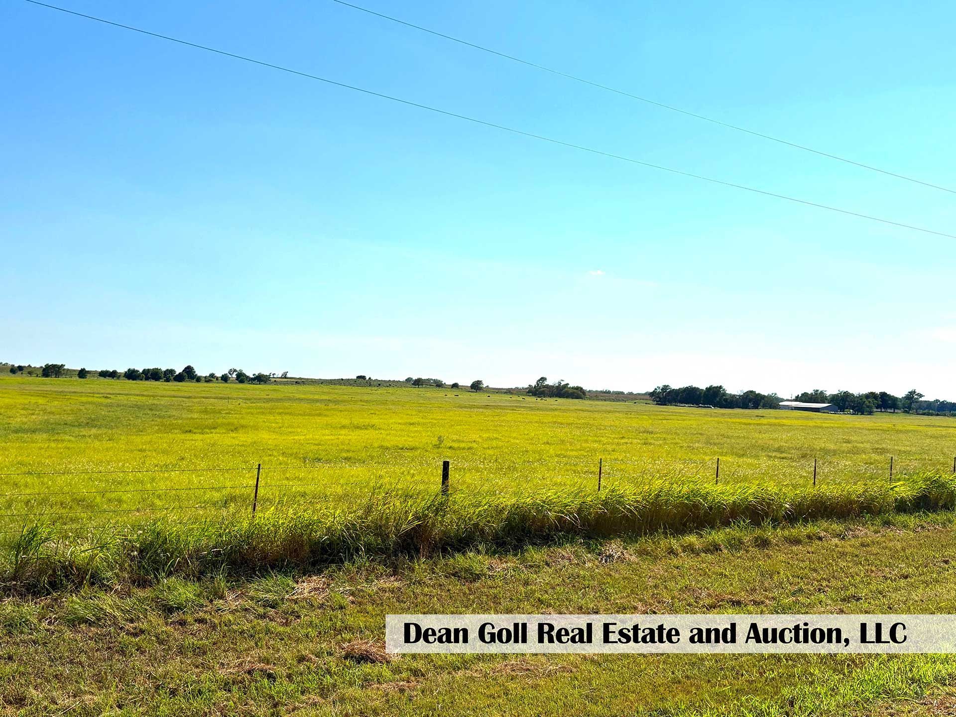 a field under a bright blue sky, with utility wires and trees in the distance