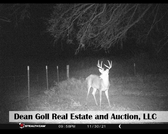 A black and white photo of a deer on a farm