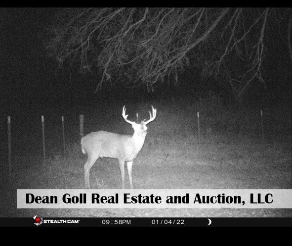 A black and white photo of a deer on a farm