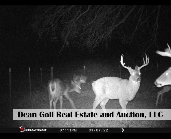 A black and white photo of two deers on a farm