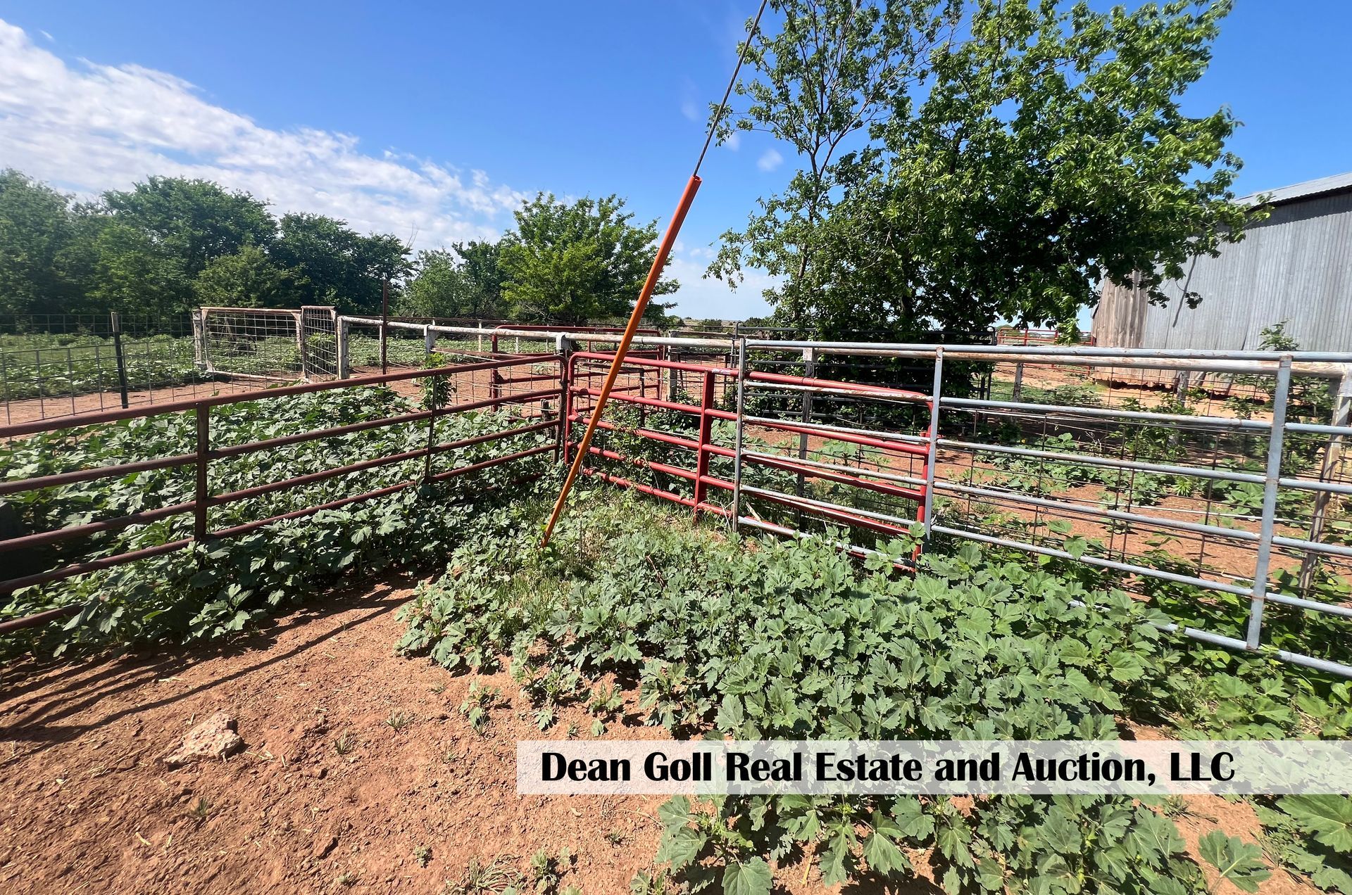 A metal fence surrounds a field of plants and trees