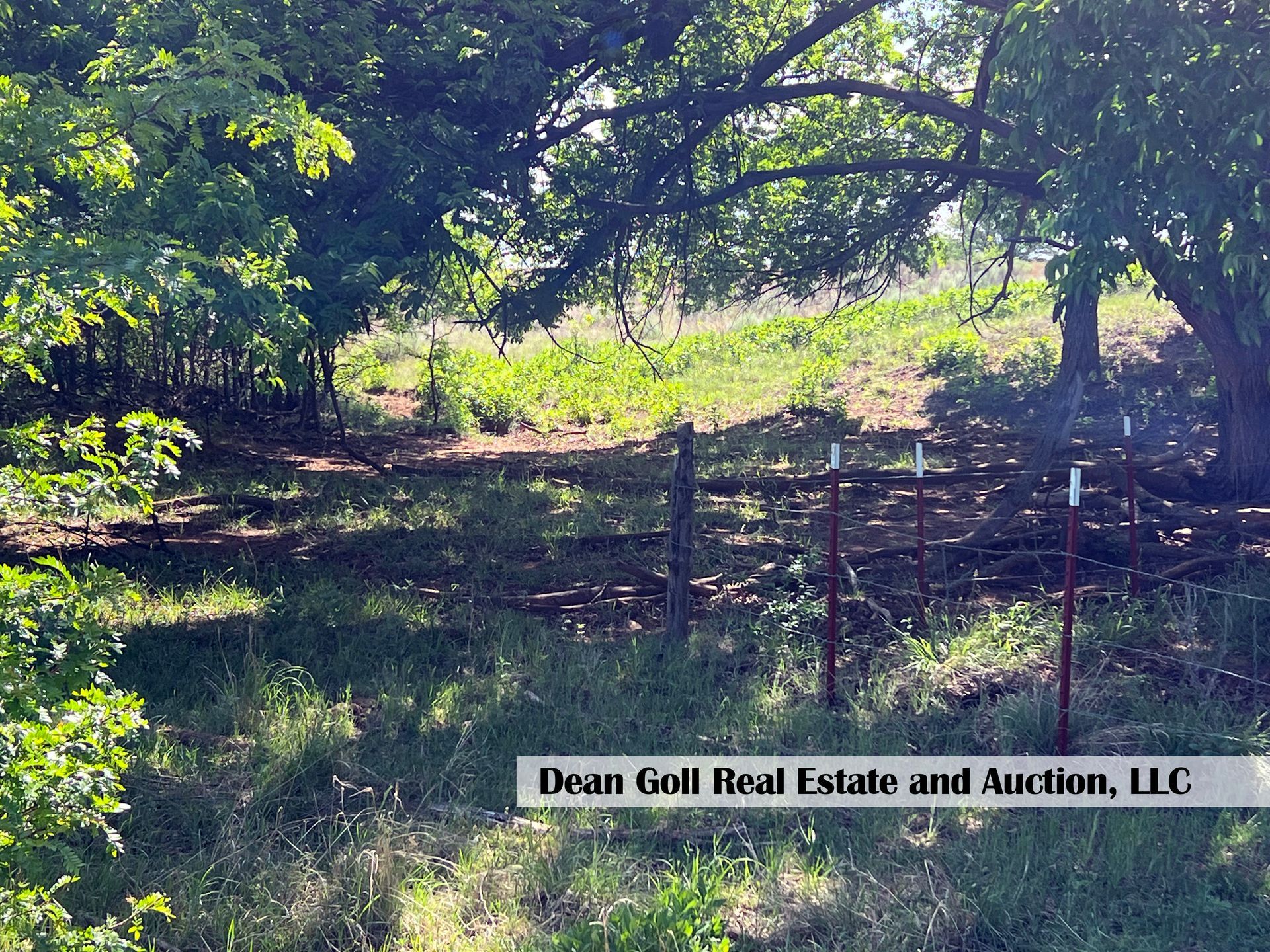 A field with trees and a fence