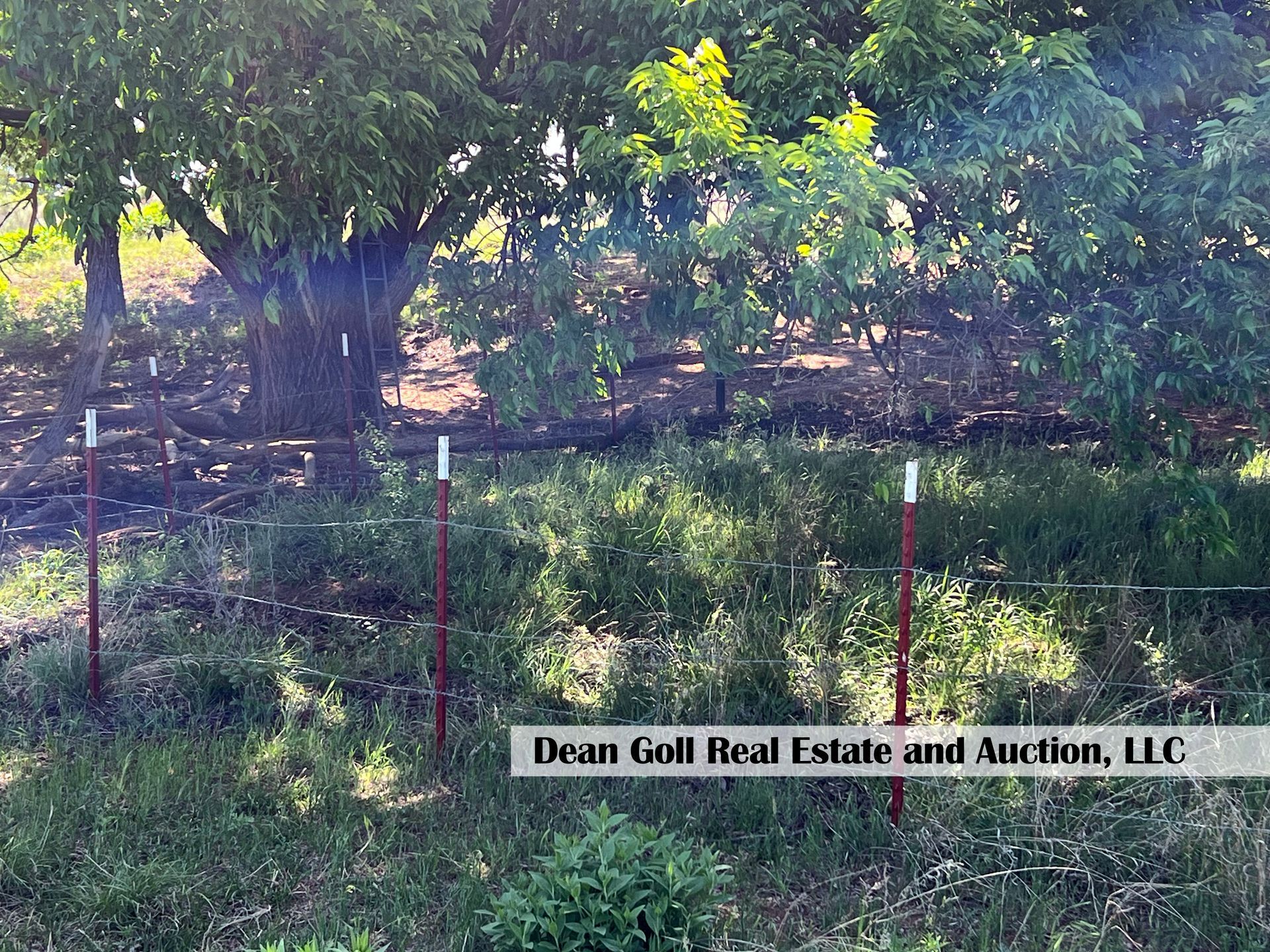 A red fence surrounds a lush green field with trees in the background