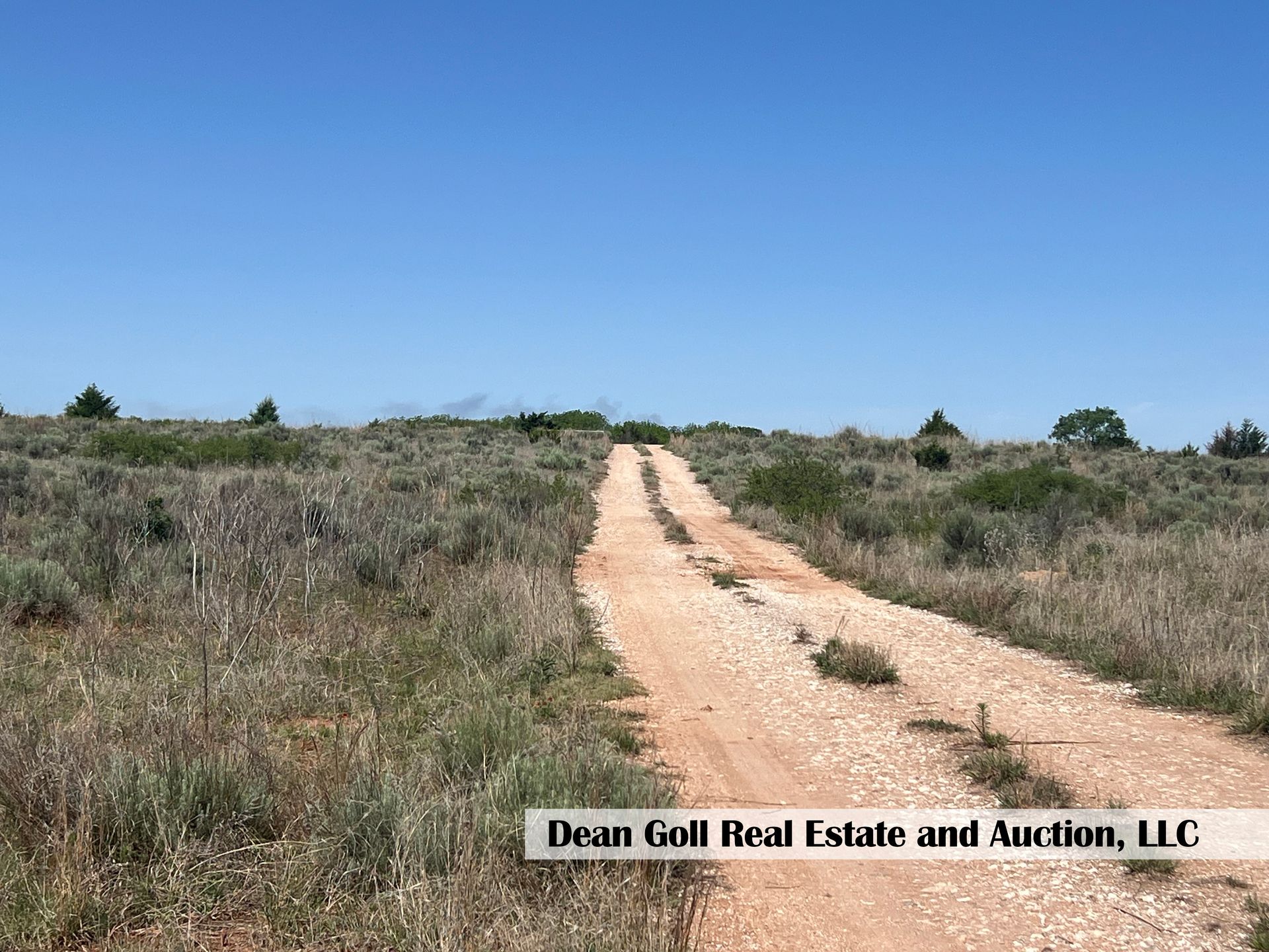 A dirt road in the middle of a grassy field