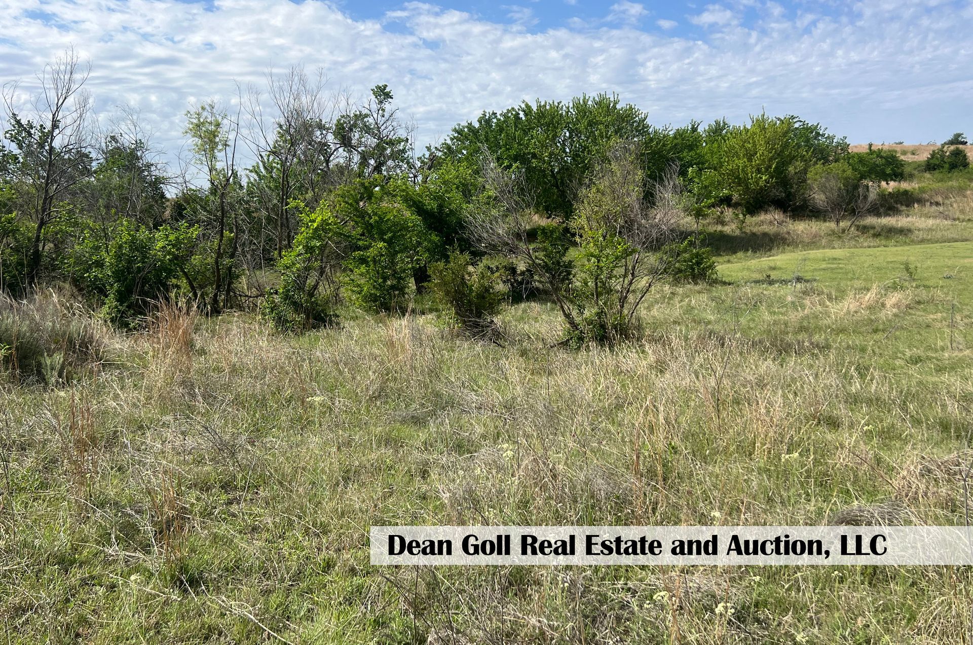 A large grassy field with trees in the background