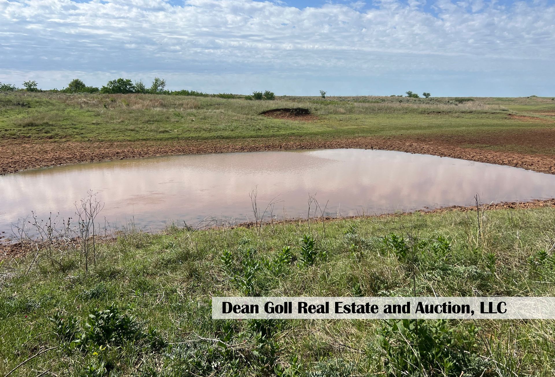 A small pond in the middle of a grassy field