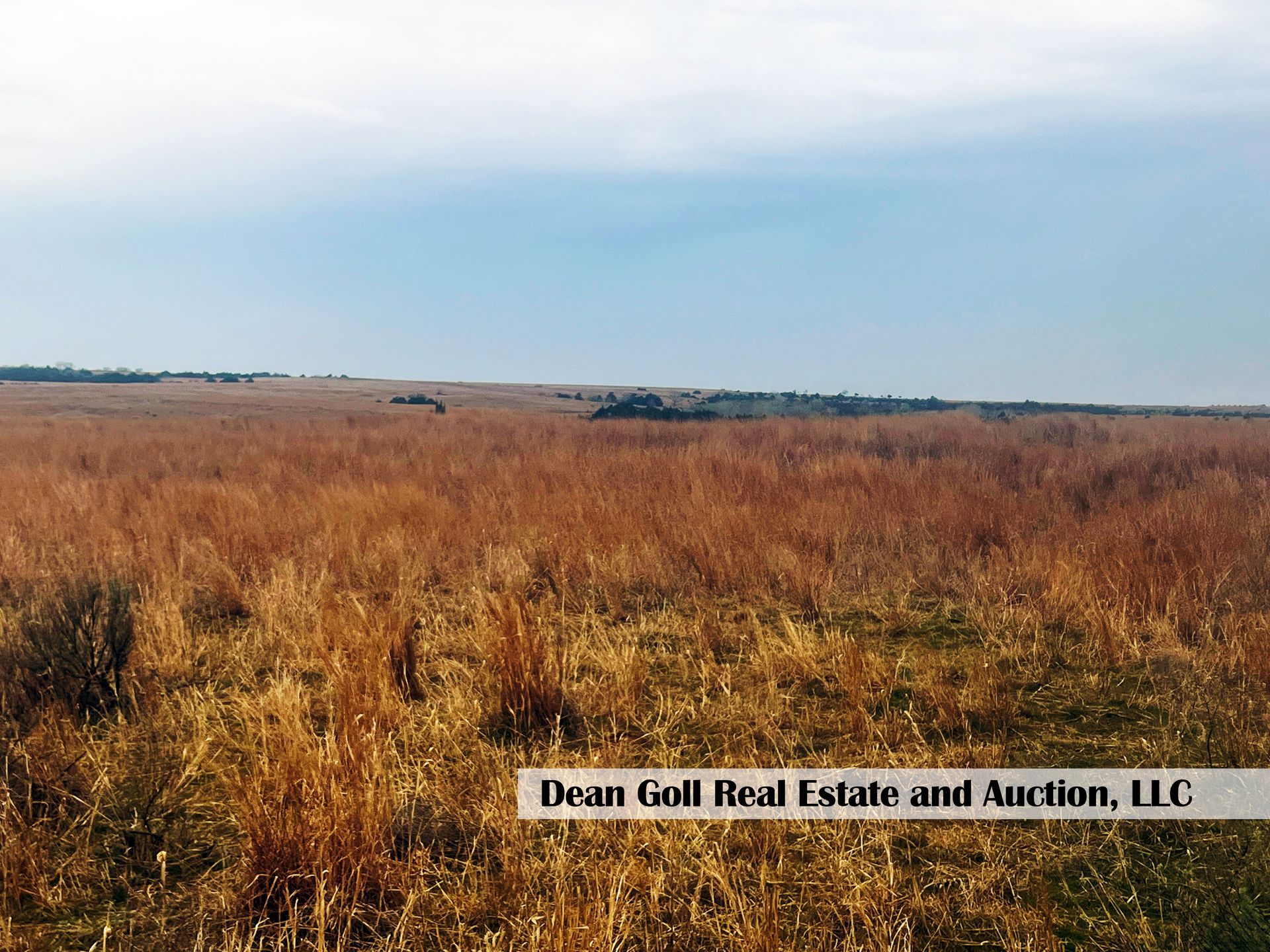 A piece of land with dried vegetation