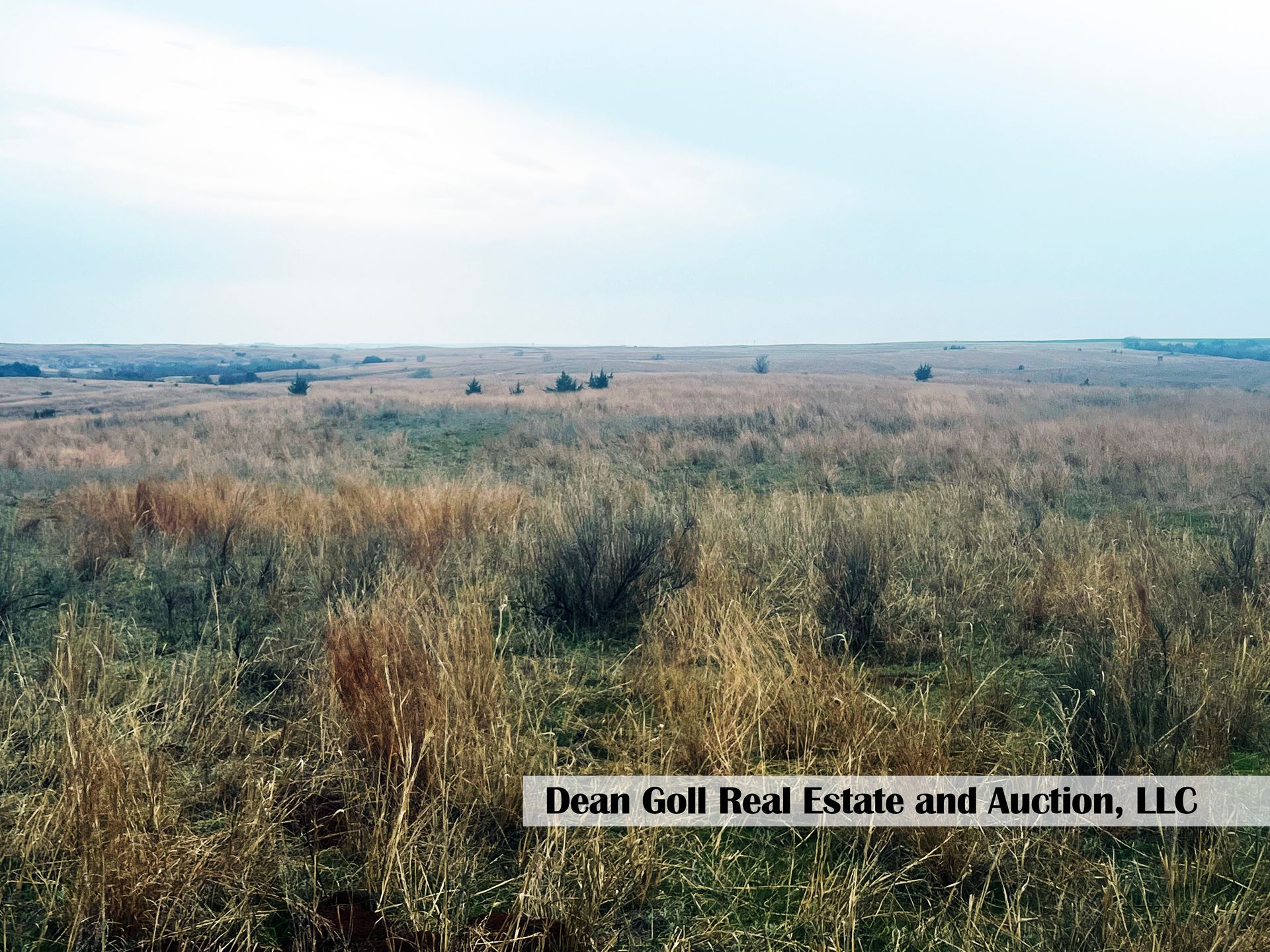 A piece of land with nearly dried vegetation