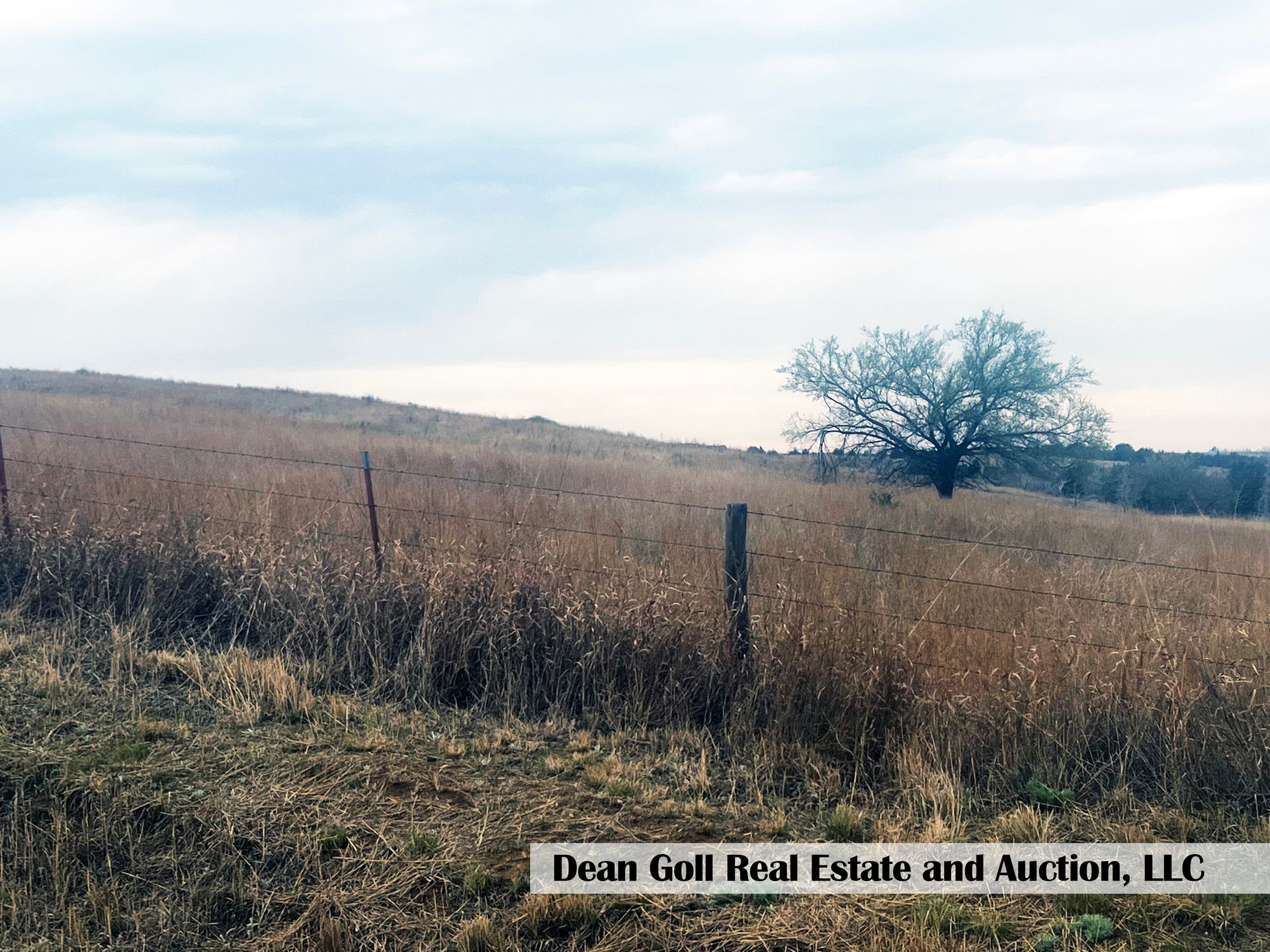 A fenced-in field with a tree in the middle of it