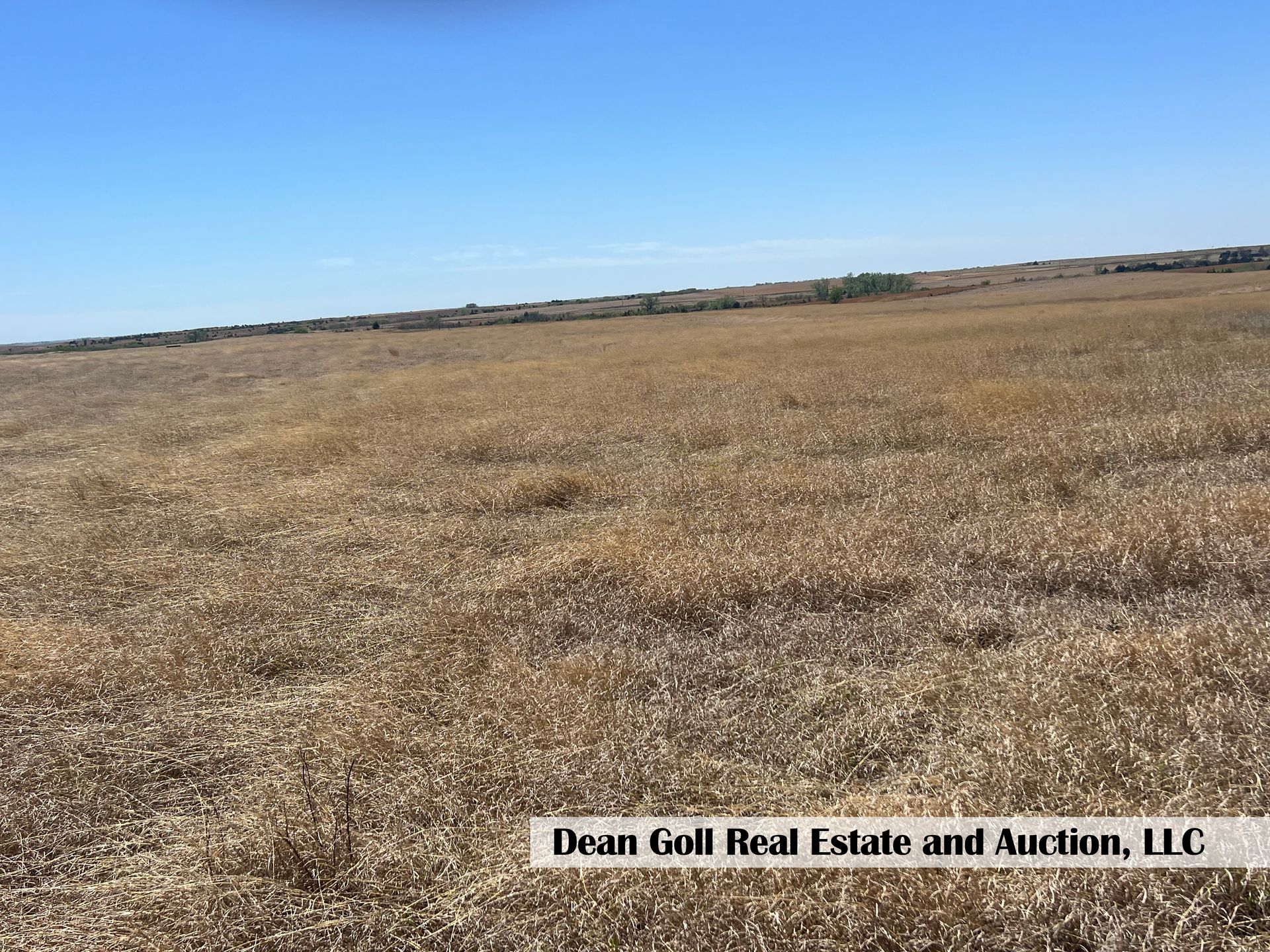 A large dry grass field with a blue sky in the background