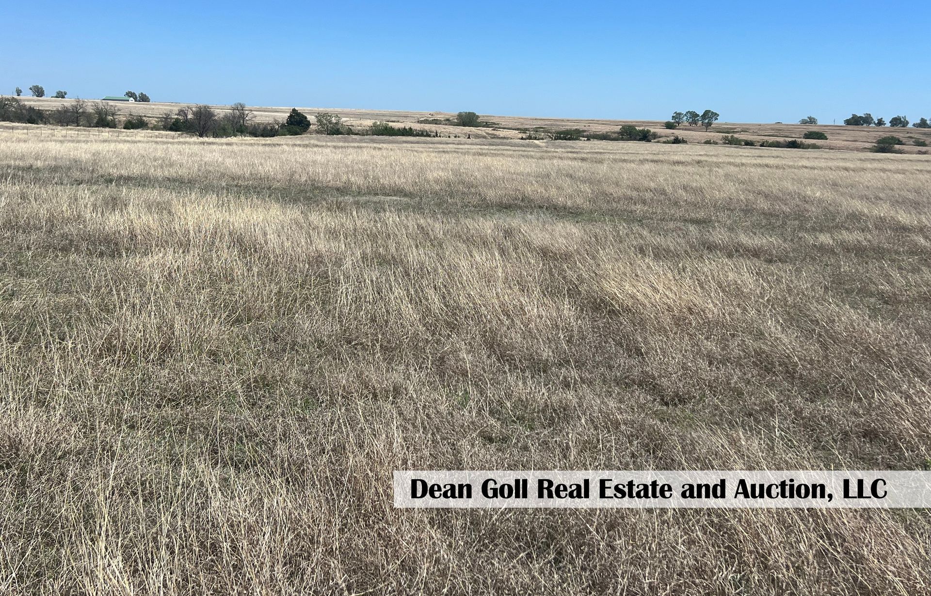 A large dry grass field with a blue sky in the background