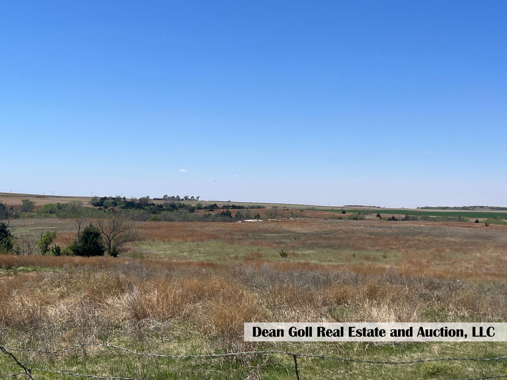 A large dry grass field with a blue sky in the background