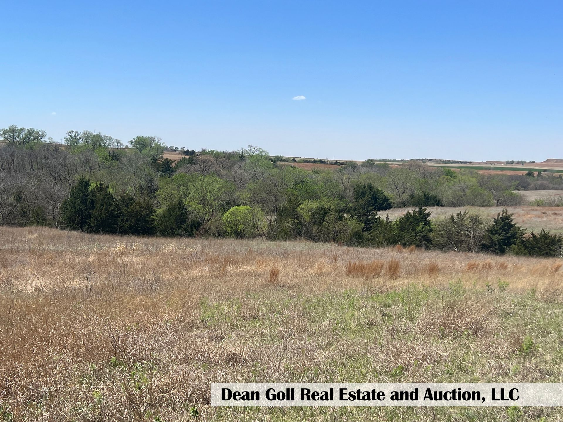 A large dry grass field with a blue sky in the background