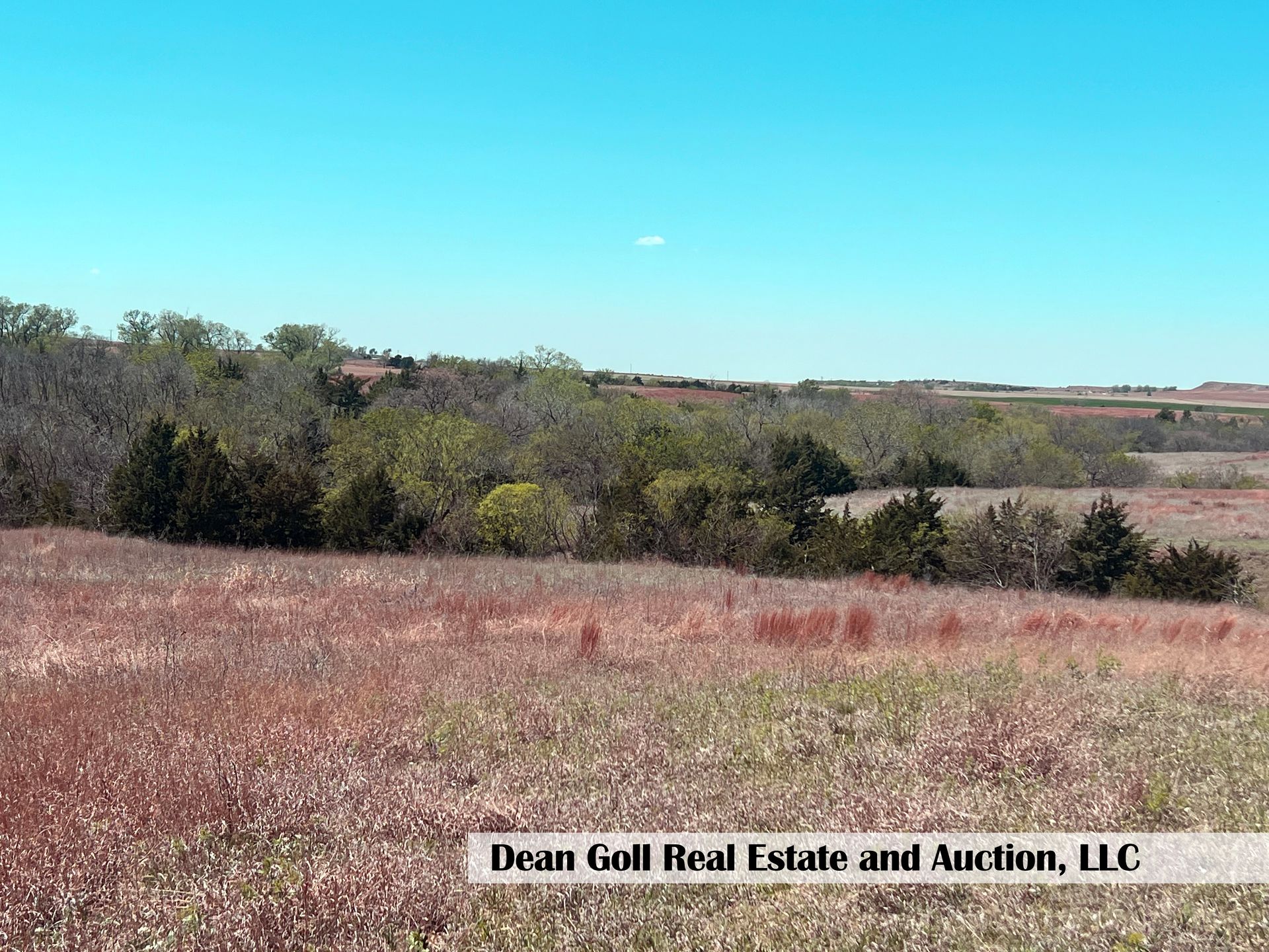 A large dry grass field with a blue sky in the background