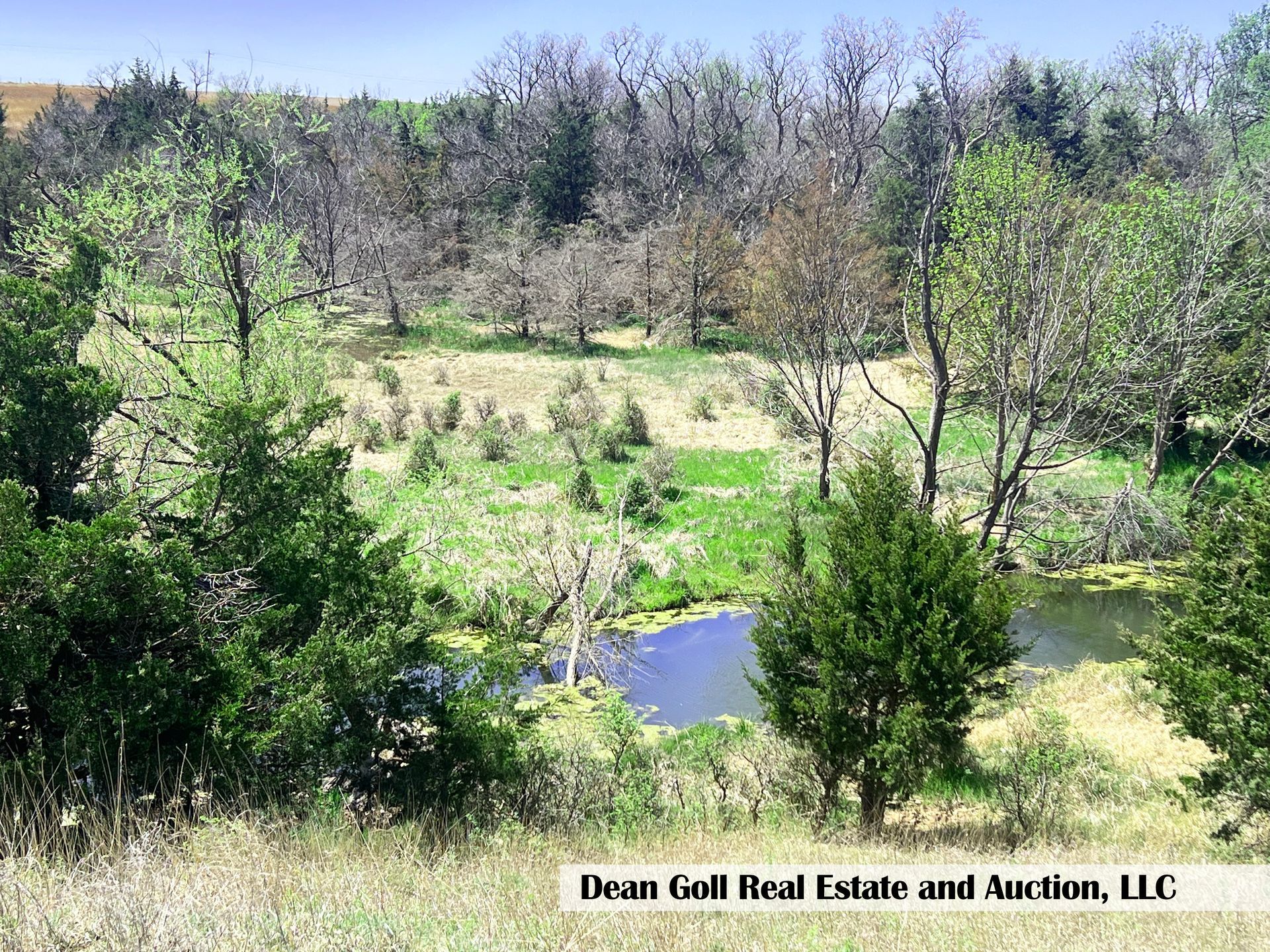 There is a small pond in the middle of a field surrounded by trees